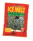 road runner ice melt salt